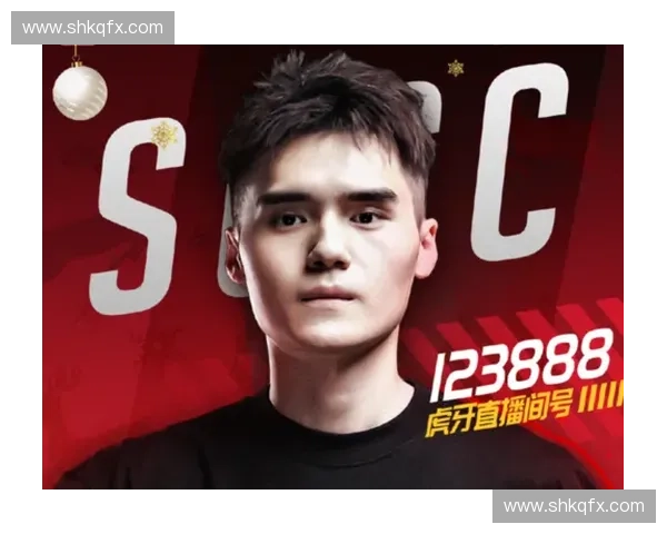 Dota2宋淳职业生涯回顾与电竞成就分析，探索其对中国电竞行业的深远影响